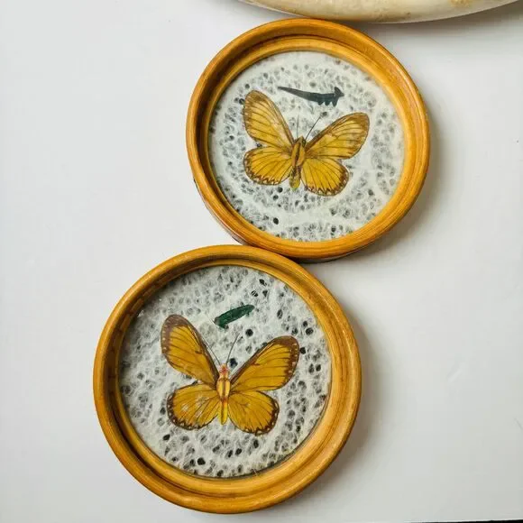 Set 6 Vintage Wood Coasters Pressed Butterflies 1970s Boho Wicker Rattan‎ - Picture 2 of 13